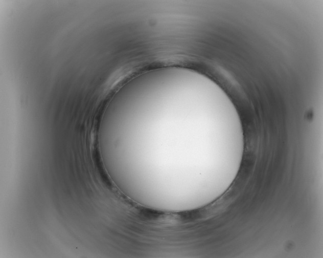 X0000091860124200709051005