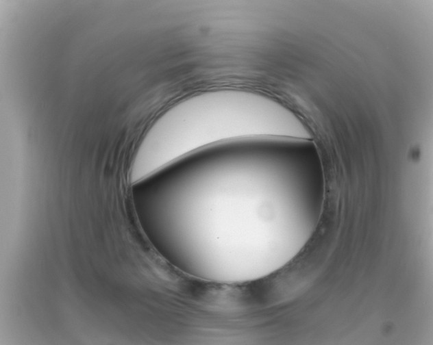 X0000091860125200709051005