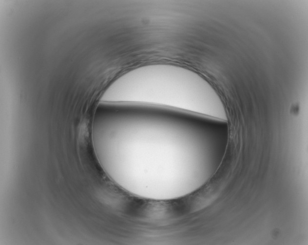X0000091860127200709051005