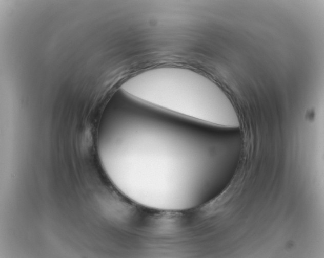 X0000091860128200709051005