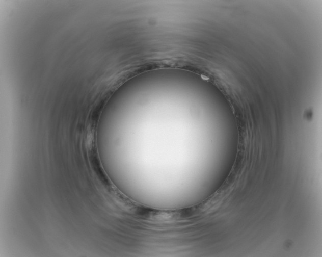X0000091860129200709051005
