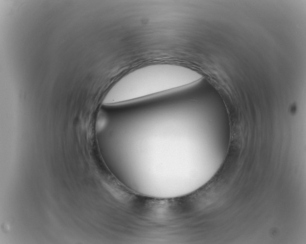 X0000091860131200709051005
