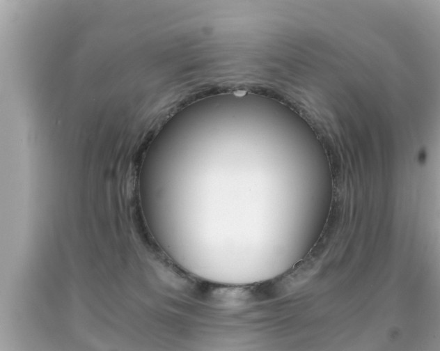 X0000091860133200709051005
