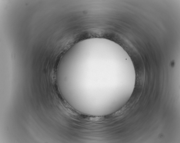 X0000091860134200709051005