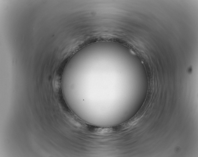 X0000091860135200709051005