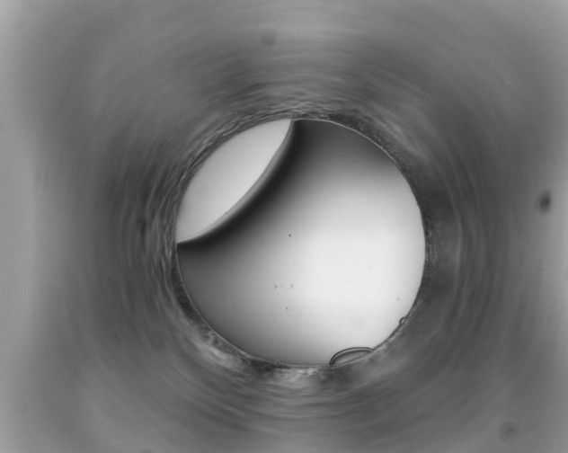 X0000091860136200709051005