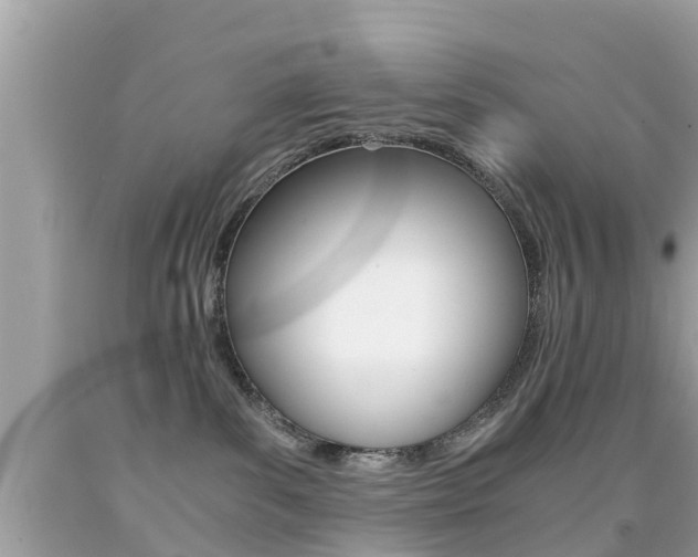 X0000091860139200709051005