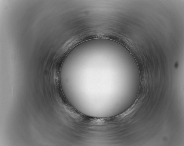 X0000091860140200709051005
