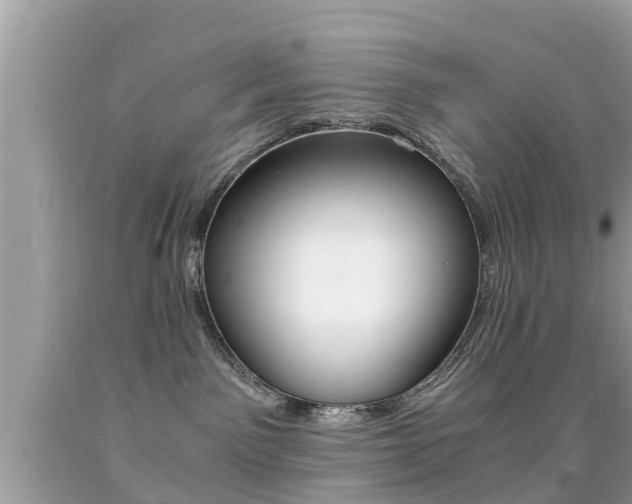 X0000091860141200709051005