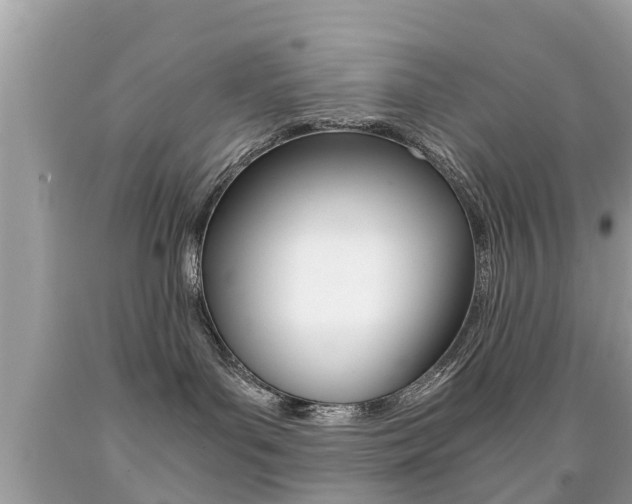 X0000091860143200709051005