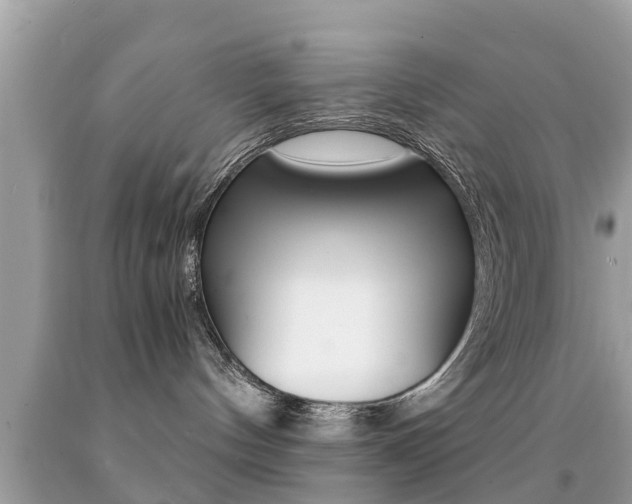 X0000091860144200709051005