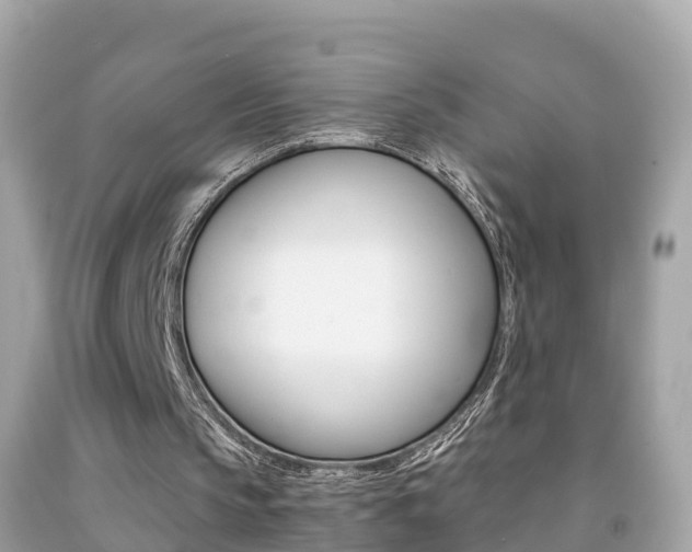 X0000091860145200709051004