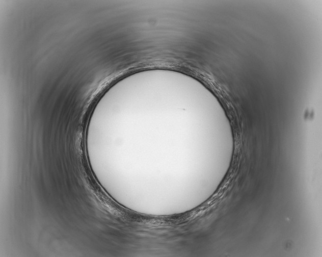 X0000091860146200709051004