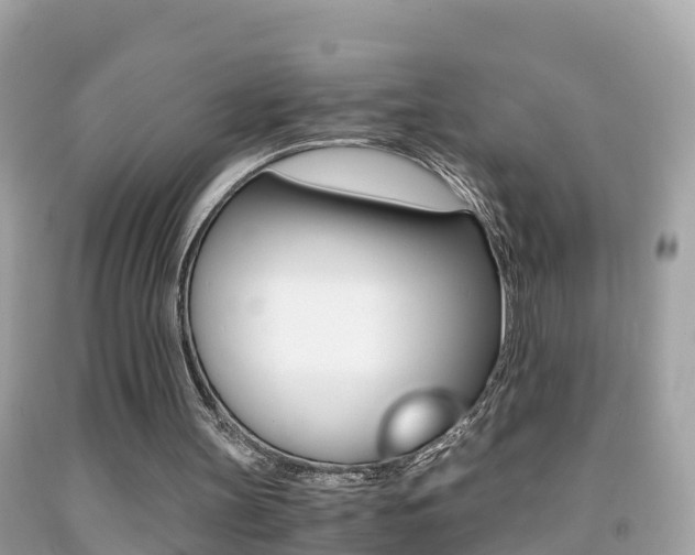 X0000091860147200709051004