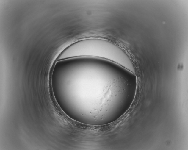 X0000091860148200709051004