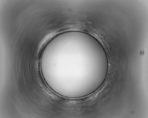 X0000091860149200709051004