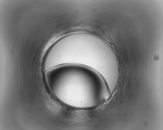 X0000091860150200709051004