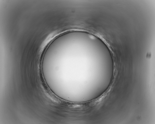 X0000091860151200709051004