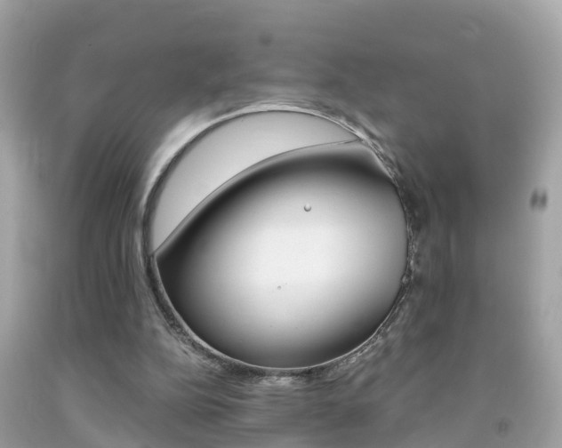 X0000091860152200709051004