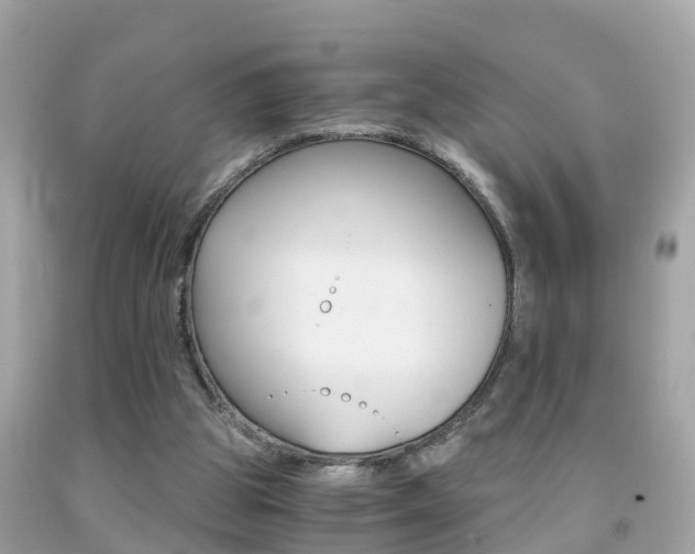 X0000091860153200709051004