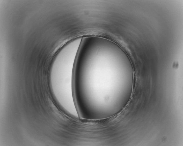 X0000091860154200709051004