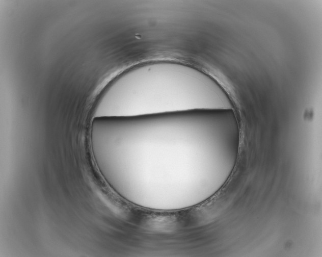 X0000091860155200709051004