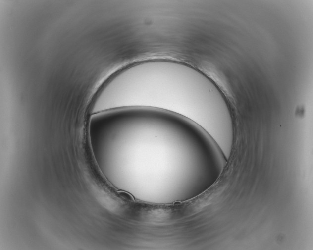 X0000091860156200709051004