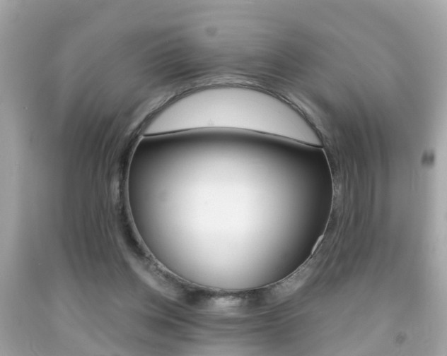 X0000091860158200709051004