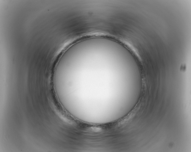 X0000091860159200709051004