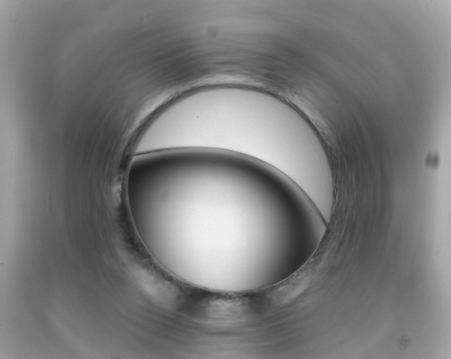X0000091860160200709051004