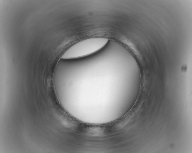 X0000091860161200709051004