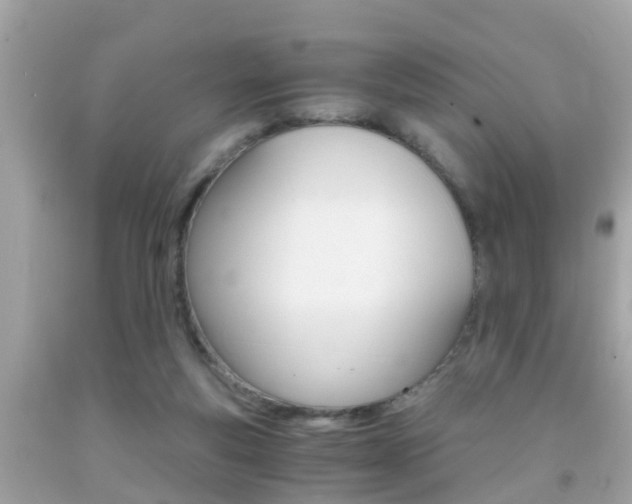 X0000091860163200709051004