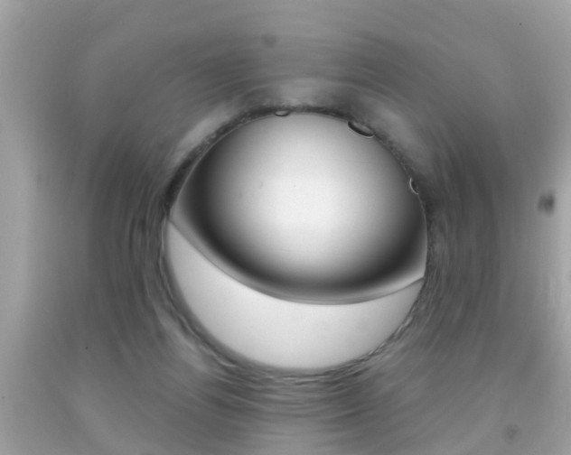 X0000091860164200709051004