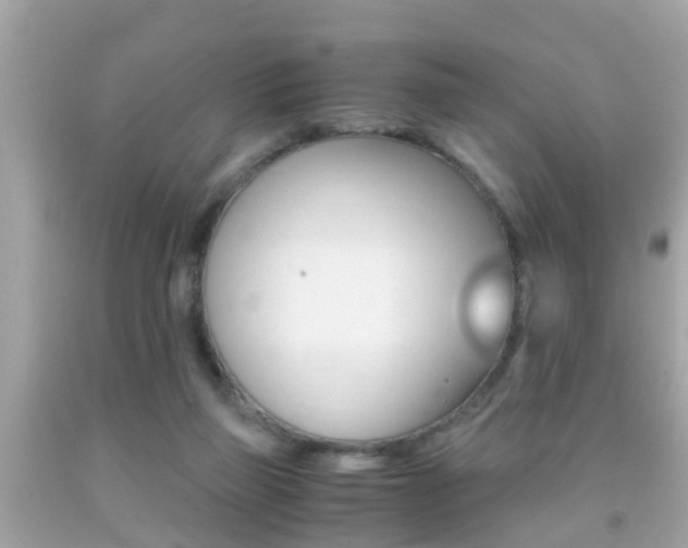 X0000091860165200709051004