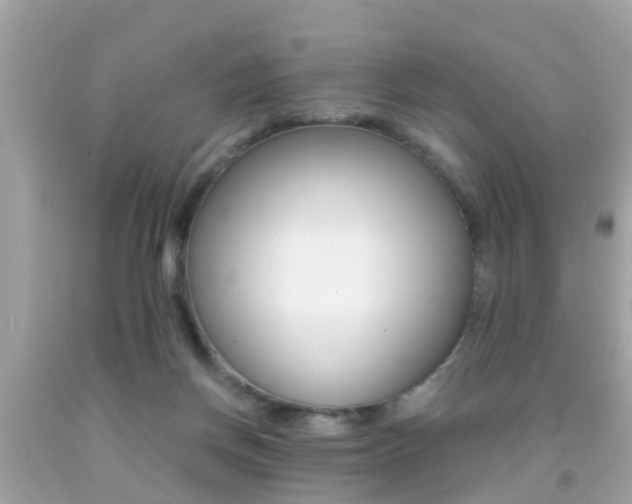 X0000091860166200709051004