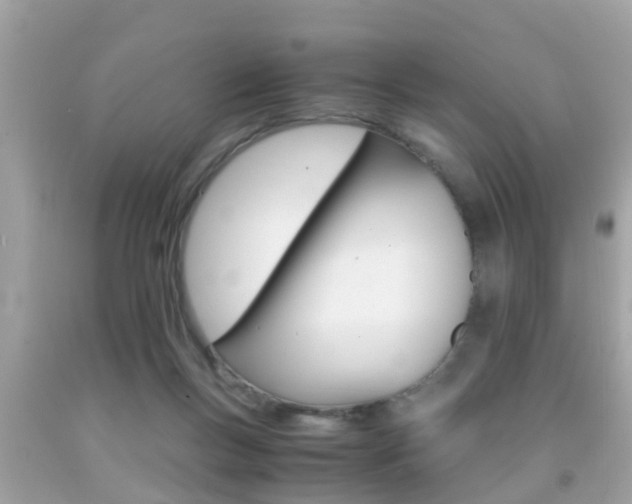 X0000091860167200709051004