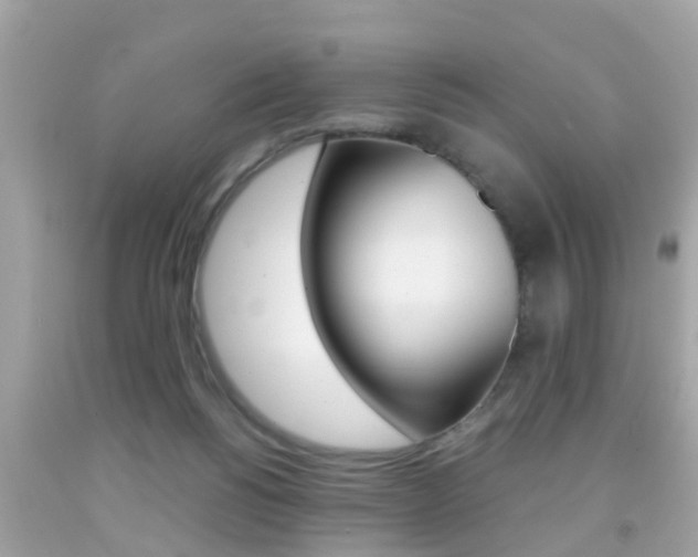 X0000091860168200709051004