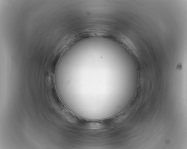 X0000091860169200709051004