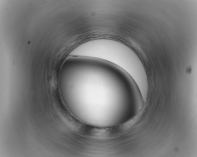 X0000091860170200709051004
