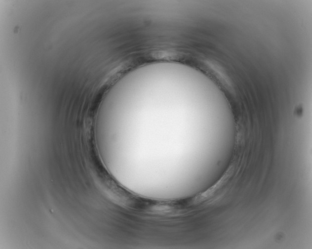 X0000091860171200709051004