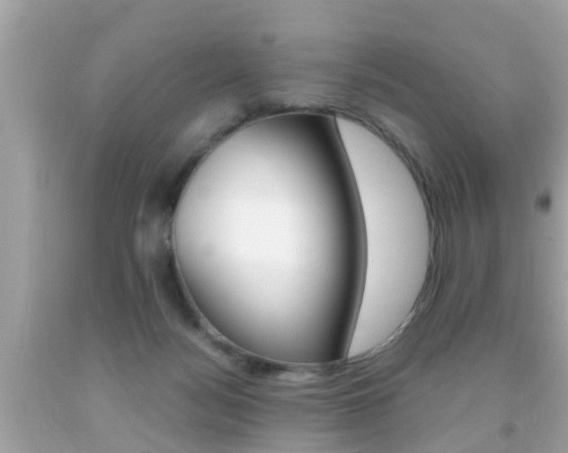 X0000091860172200709051004