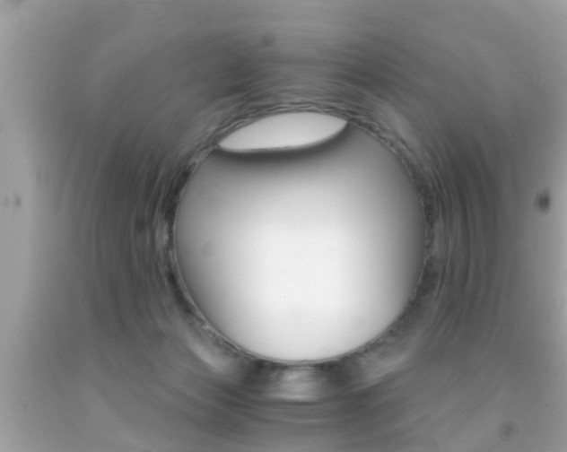 X0000091860173200709051004
