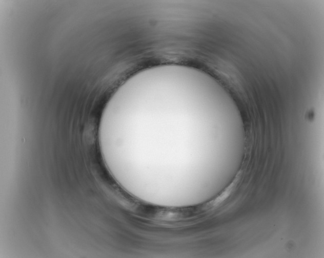 X0000091860174200709051004