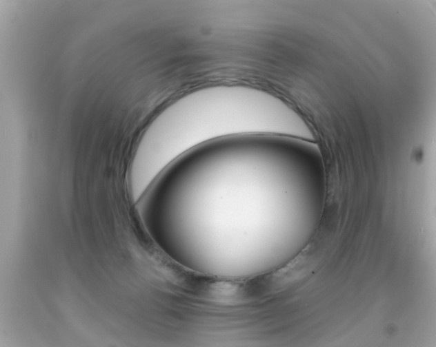 X0000091860176200709051004
