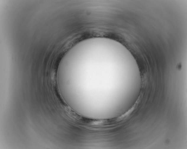 X0000091860178200709051004