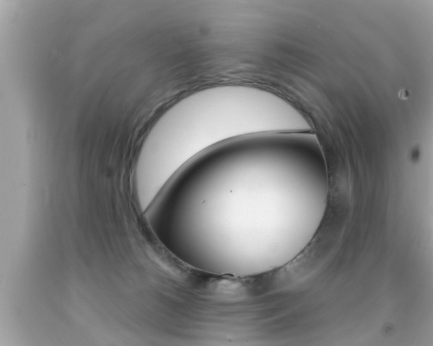 X0000091860180200709051004
