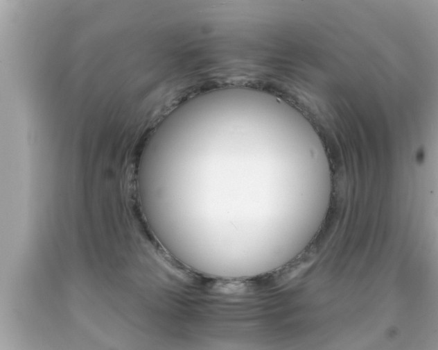 X0000091860181200709051004