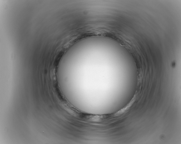 X0000091860182200709051005