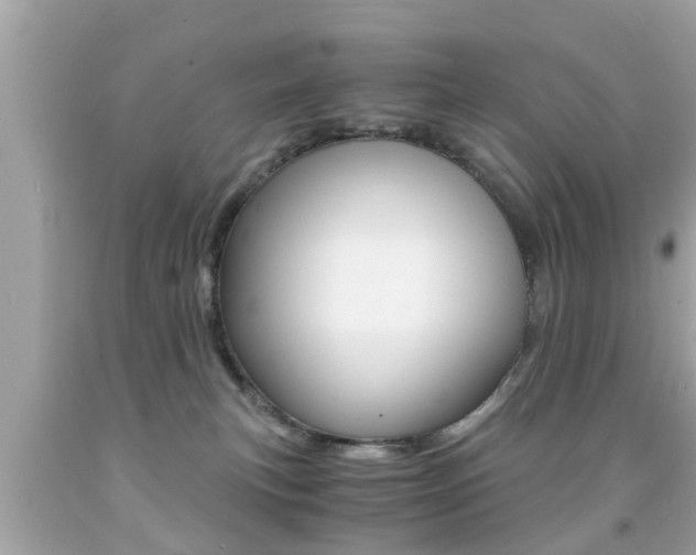 X0000091860183200709051005