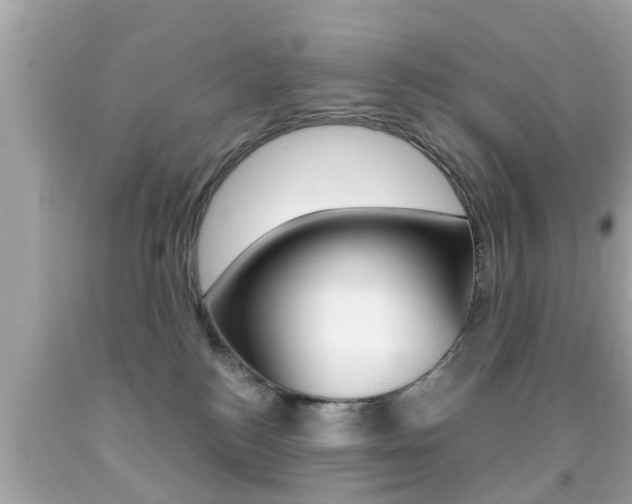 X0000091860184200709051005